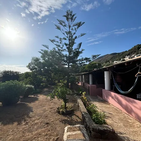 Guest house La Rosa Pecorini