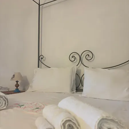 La Rosa 招待所
